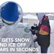 20181116165132_1500x_540x_1_15adcdd6-1148-4ed8-93be-7ae88ed817fa_540x