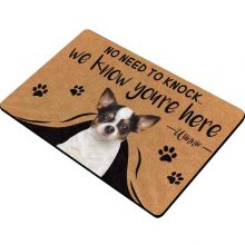 Custom Personalized Text Name Pet Dog Cat Photo No Need to Knock We Know You’re Here Doormat with Pet Name