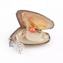 Natural-Oyster-Pearl-Necklace-Best-Sellers-Necklaces-Color-Silver-3
